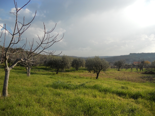 Terreno residenziale Torino di Sangro --
