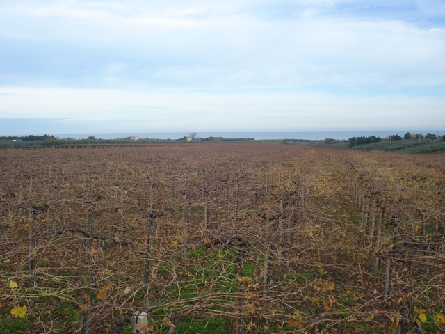 Terreno residenziale Vasto --