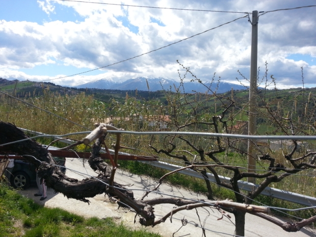 Terreno residenziale Lanciano --
