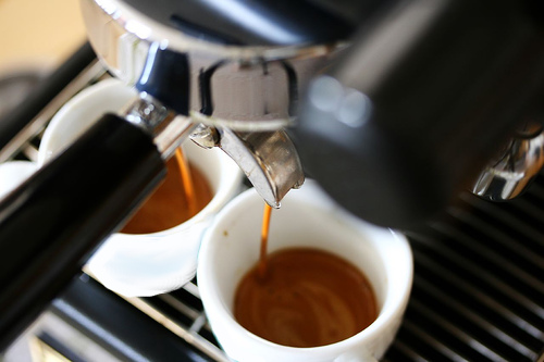 Attivita` commerciale Pesaro --