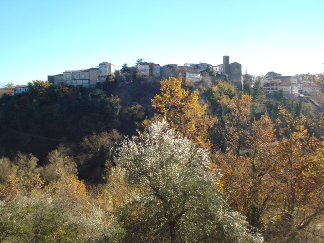 Rustico Arielli --