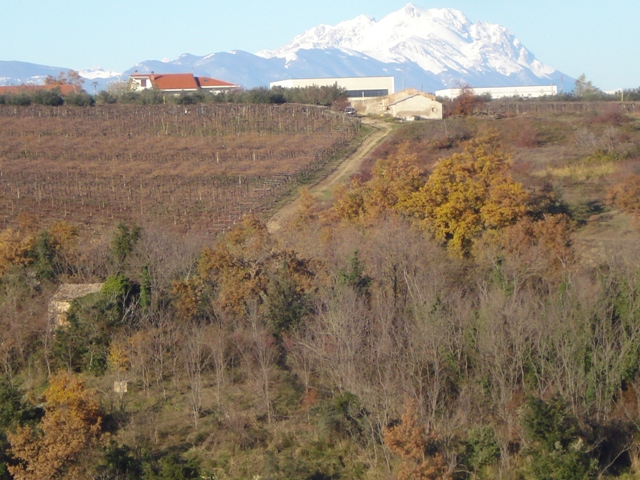 Terreno residenziale Canosa Sannita --