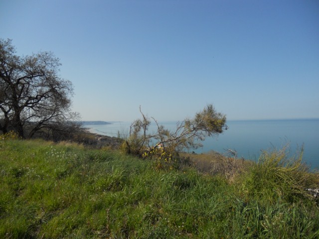 Terreno residenziale Torino di Sangro --