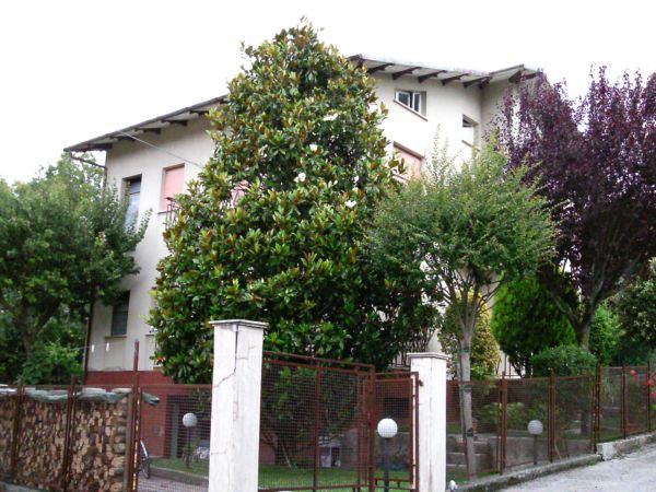 Casa singola Cantiano --