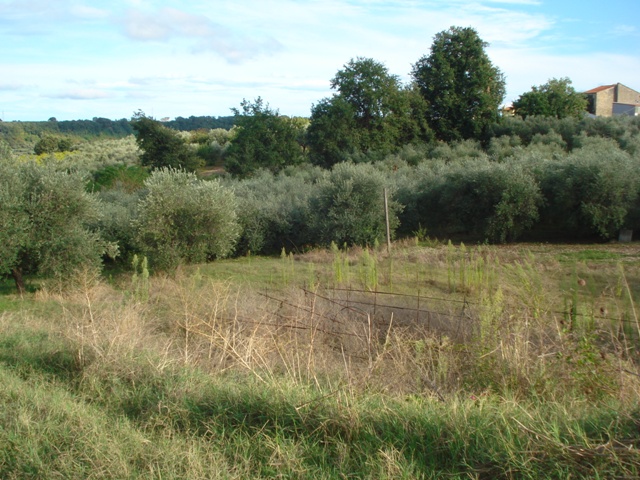 Terreno residenziale Ortona (CH) --