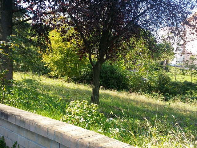 Terreno residenziale Lanciano --