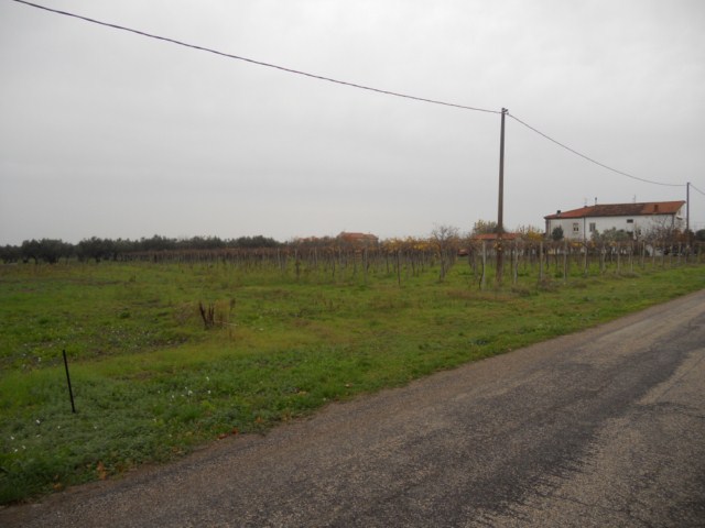 Terreno residenziale Rocca San Giovanni --