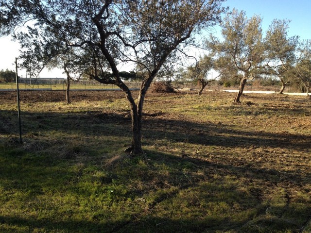 Terreno residenziale Treglio --