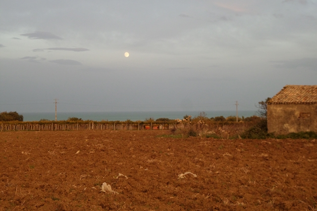 Terreno residenziale Ortona (CH) --