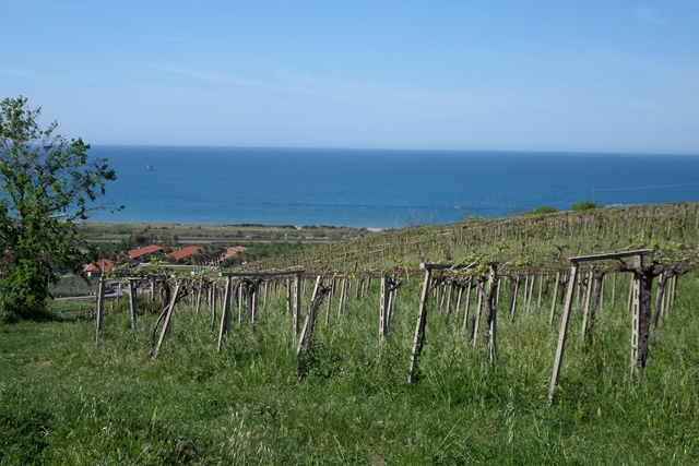 Terreno residenziale Casalbordino --