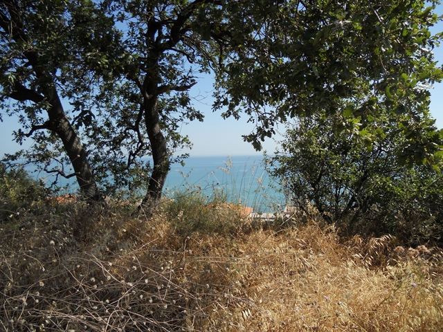 Terreno residenziale Fossacesia --